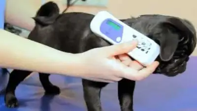 Zakon.kz, фото - Новости Zakon.kz от 23.06.2016 17:42