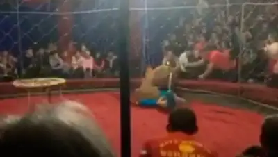 скриншот с видео, фото - Новости Zakon.kz от 29.10.2018 01:57