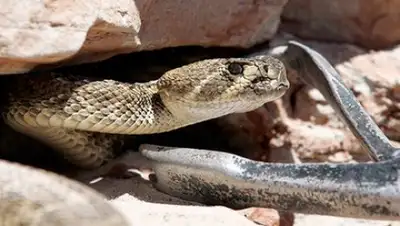 Jessica Rinaldi / Reuters, фото - Новости Zakon.kz от 08.06.2018 07:21