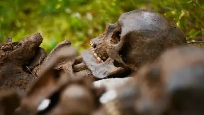 Zakon.kz, фото - Новости Zakon.kz от 28.12.2016 20:39