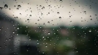 из открытых источников, фото - Новости Zakon.kz от 26.07.2018 09:31