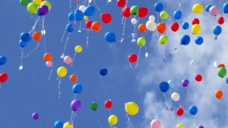 Участников развеселого кортежа выпускников ищет полиция Алматы