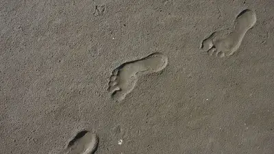 Следы босых ног привели ученых к историческому открытию, фото - Новости Zakon.kz от 06.10.2023 12:26