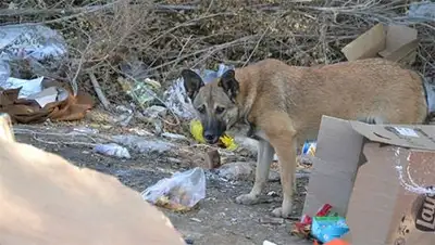 Zakon.kz, фото - Новости Zakon.kz от 17.10.2014 22:01