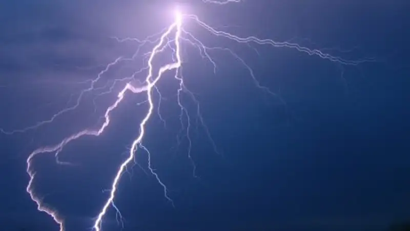 Ш&#1178;О-ны&#1187; Абай ауданында малшы&#1171;а найза&#1171;ай т&#1199;сіп, мерт болды