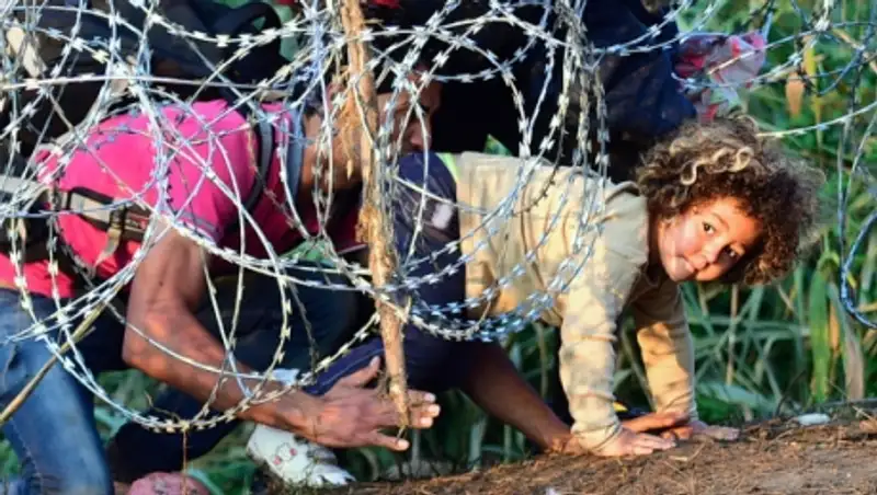 Венгрия завершила строительство забора на границе с Сербией