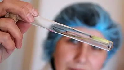 Zakon.kz, фото - Новости Zakon.kz от 17.04.2014 22:33