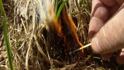 Отдел по чрезвычайным ситуациям Алатауского района ДЧС Алматы, фото - Новости Zakon.kz от 21.04.2020 17:29