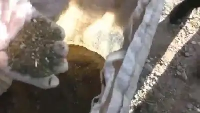 изъятие, фото - Новости Zakon.kz от 18.04.2022 19:19