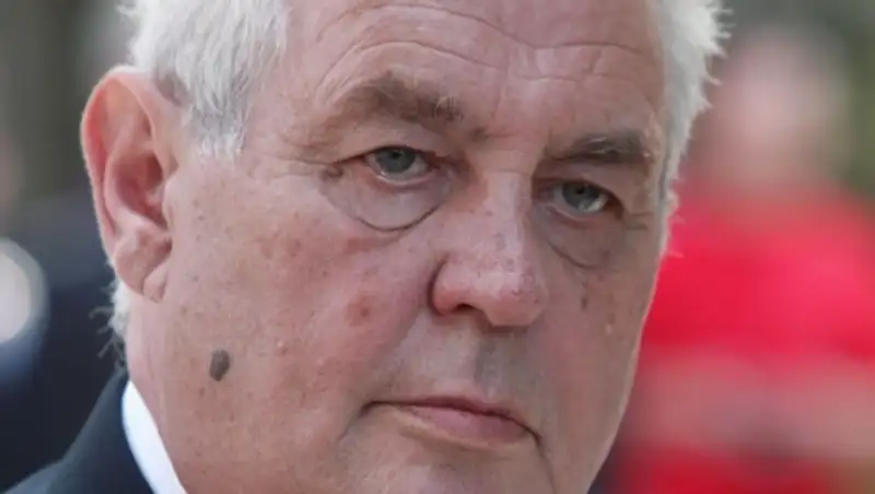 Президент Чехии грязно выругался в прямом эфире, говоря о Pussy Riot  