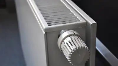 pixabay, фото - Новости Zakon.kz от 10.10.2021 15:59