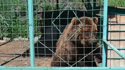 департамент природоохранной полиции Костанайской области, фото - Новости Zakon.kz от 08.09.2021 11:18