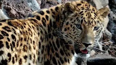 Zakon.kz, фото - Новости Zakon.kz от 10.03.2017 14:14