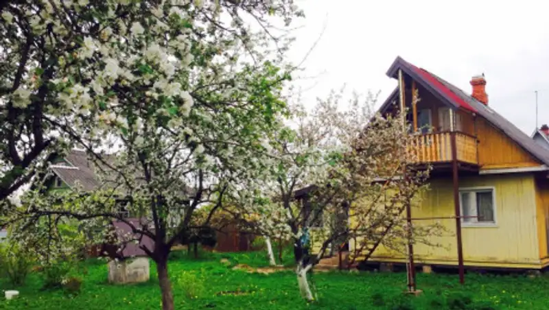 В Алматинской области закрыты на карантин четыре дачных массива