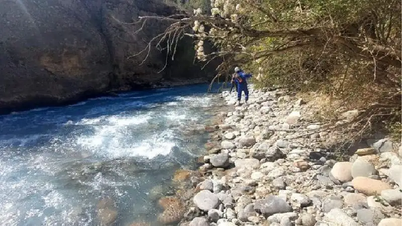Найдено тело женщины, а не студента из Индии – ДЧС Туркестанской области
