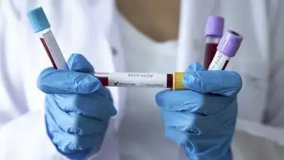 cdnuploads.aa.com.tr, фото - Новости Zakon.kz от 28.01.2021 19:47