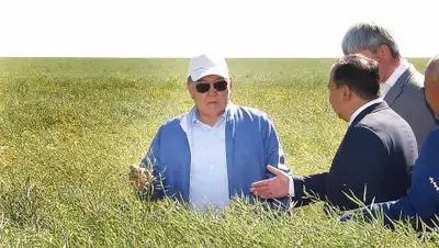 Акорда, фото - Новости Zakon.kz от 17.08.2018 18:39