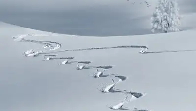 pixabay.com, фото - Новости Zakon.kz от 23.11.2019 20:55