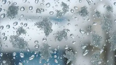 24kz, фото - Новости Zakon.kz от 18.01.2019 13:05