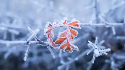 Морозы до 22 градусов ожидаются в Казахстане, фото - Новости Zakon.kz от 29.03.2023 12:14