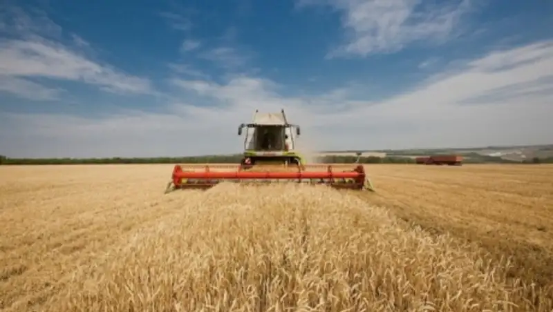 Посевы с более 180 тыс. гектаров скошены в Костанайской области