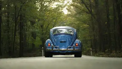 Преступники ввозили в Казахстан из России авто криминального происхождения, фото - Новости Zakon.kz от 03.04.2023 09:56