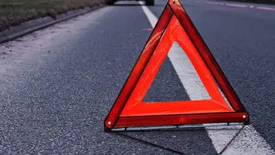 из открытых источников, фото - Новости Zakon.kz от 09.01.2019 10:38