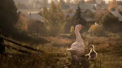 Zakon.kz, фото - Новости Zakon.kz от 04.05.2016 17:22