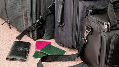 Pixabay, фото - Новости Zakon.kz от 24.11.2019 10:56