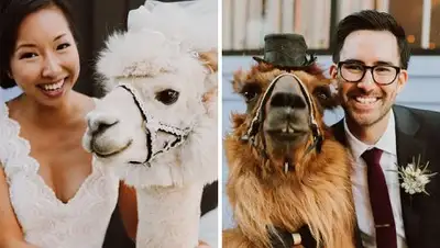 Zakon.kz, фото - Новости Zakon.kz от 15.06.2017 20:40