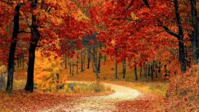 pixabay.com, фото - Новости Zakon.kz от 18.09.2020 11:28