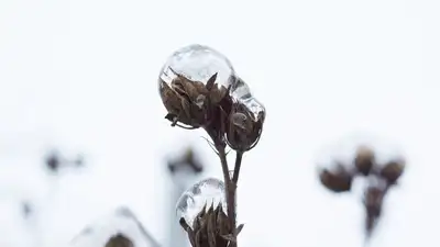 погода, штормовое предупреждение, фото - Новости Zakon.kz от 06.03.2023 20:09