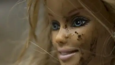 Pixabay, фото - Новости Zakon.kz от 15.01.2020 00:42