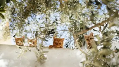 Zakon.kz, фото - Новости Zakon.kz от 08.02.2015 18:53