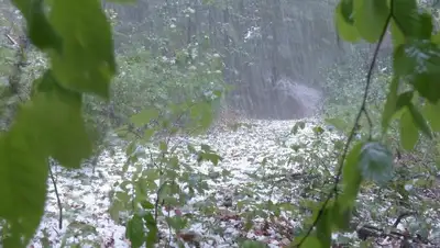 погода, фото - Новости Zakon.kz от 30.05.2022 23:10