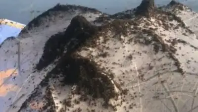 facebook.com, фото - Новости Zakon.kz от 10.11.2018 23:25