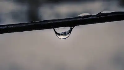 pixabay.com, фото - Новости Zakon.kz от 21.09.2021 22:37