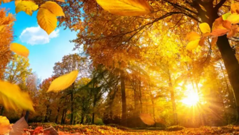 10 сентября лишь на западе Казахстана ожидаются дожди с грозами