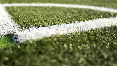 Pixabay, фото - Новости Zakon.kz от 11.05.2020 22:36