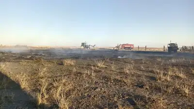 Дети со спичками случайно сожгли сено на 4 млн тенге в Абайской области