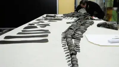 Zakon.kz, фото - Новости Zakon.kz от 18.09.2015 17:44