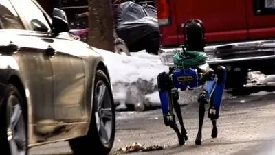 скриншот видео, фото - Новости Zakon.kz от 30.04.2021 09:28