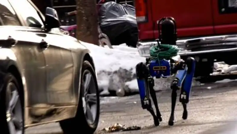 Робота-пса "уволили" из полиции Нью-Йорка из-за споров о расизме