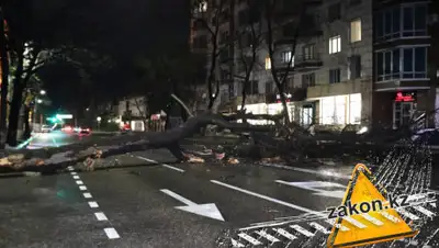 Zakon.kz, фото - Новости Zakon.kz от 06.04.2019 23:50