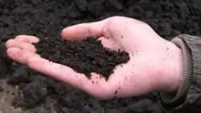 Zakon.kz, фото - Новости Zakon.kz от 25.02.2014 17:21