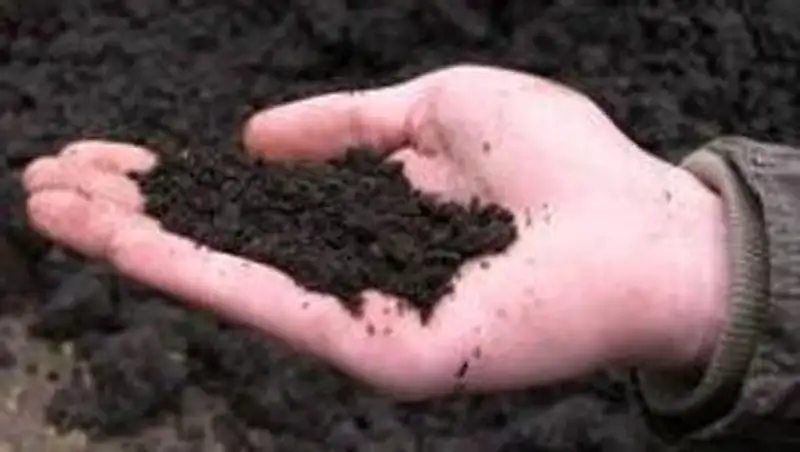 В Актау гражданин Узбекистана незаконно добывал грунт