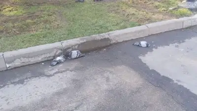 facebook.com/photo/Роза Есенкулова, фото - Новости Zakon.kz от 25.03.2020 21:32