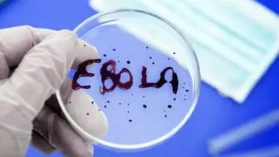 Zakon.kz, фото - Новости Zakon.kz от 01.11.2014 16:53