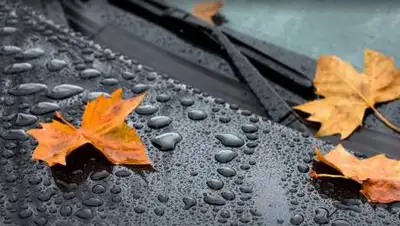 pxhere.com, фото - Новости Zakon.kz от 28.09.2021 16:01