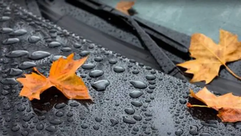 Осадки ожидаются в Казахстане